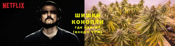 PSILOCYBIN Вяземский