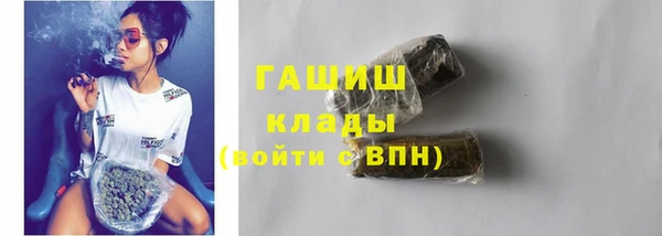 PSILOCYBIN Вяземский