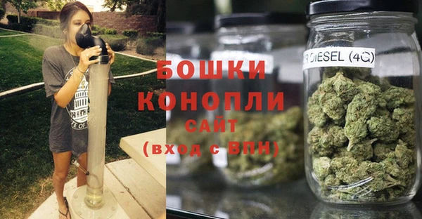 PSILOCYBIN Вяземский