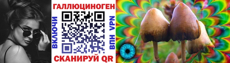 Купить  Дзержинск  Галлюциногенные грибы Psilocybe 